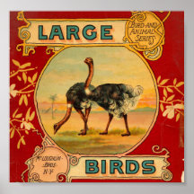 Grands oiseaux poster