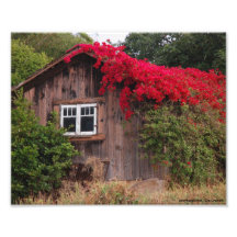 Grange de couleur photographies