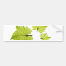 grape-leaves-11 autocollants pour voiture