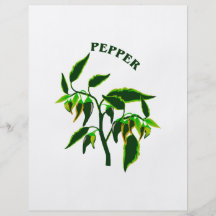 Graphique de plante verte de poivre avec le poivre prospectus