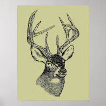 Graphique vintage d'art de cerfs communs posters