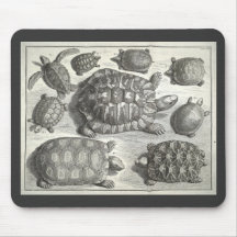 Gravure à l'eau-forte vintage de tortue tapis de souris
