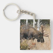 Grazing Moose Acrylic Key Chains