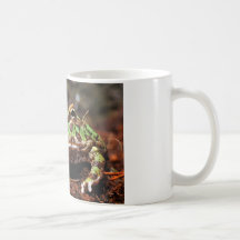 grenouille à cornes tasse