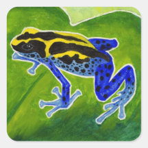 Grenouille bleue de forêt tropicale autocollants