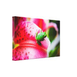 Grenouille d'arbre de bébé/lis rose toiles tendues