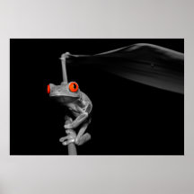 Grenouille d'arbre observée par rouge affiche