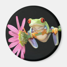 grenouille d'arbre observée par rouge aimant