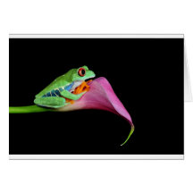 grenouille d'arbre observée par rouge carte