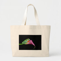 grenouille d'arbre observée par rouge sac