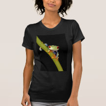 grenouille d'arbre observée par rouge t-shirt