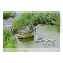 Grenouille d'étang pensant à vous carte