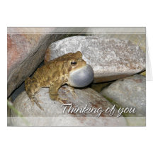 Grenouille d'étang pensant à vous cartes de vœux