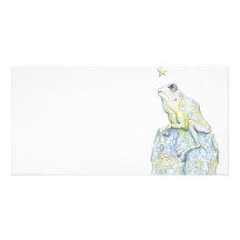 Grenouille d'observation des étoiles photocarte