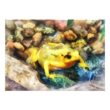 Grenouille d'or panaméenne invitation personnalisée