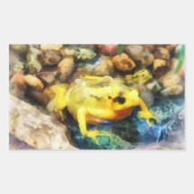 Grenouille d'or panaméenne stickers rectangulaires