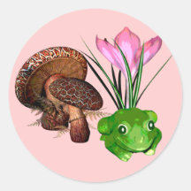 Grenouille et champignon adhésif