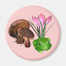 Grenouille et champignon aimant