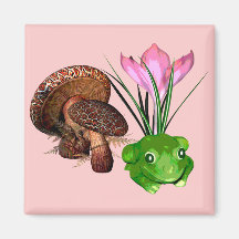 Grenouille et champignon aimants pour réfrigérateur