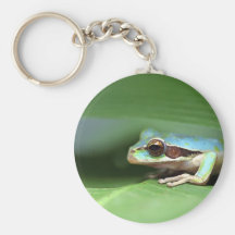 Grenouille masquée de magma porte-clefs