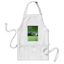 Grenouille masquée de magma tablier