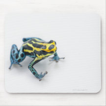 Grenouille noire, jaune et bleue de dard de poison tapis de souris