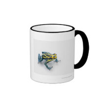 Grenouille noire, jaune et bleue de dard de poison tasse
