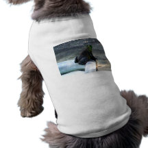 Grenouille se reposant par une piscine t-shirt pour chien