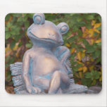 Grenouille sur le banc tapis de souris
