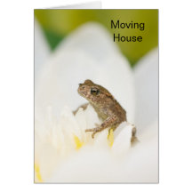Grenouille sur une carte mobile de Chambre de fleu