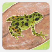 Grenouille tropicale autocollants