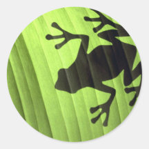 Grenouilles Adhésif Rond