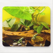 Grenouilles Tapis De Souris