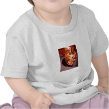 Grès de canyon d'antilope t-shirt