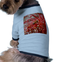 Grevilla avec l'abeille tee-shirts pour animaux domestiques