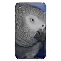 Grey Parrot iPod Case-Mate Cases