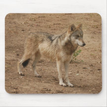 grey-wolf-1 tapis de souris