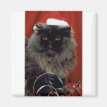 Griffes de Père Noël Aimants
