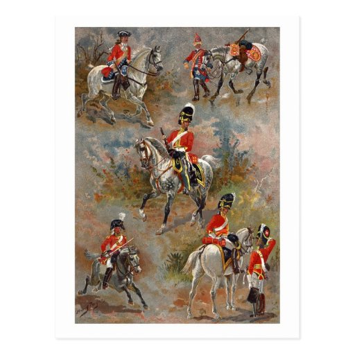 Gris écossais carte postale