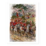 Gris écossais cartes postales