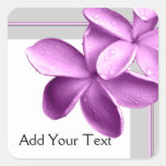 Gris et Plumeria d'aubergine Autocollants