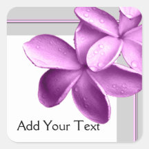 Gris et Plumeria d'aubergine Autocollants