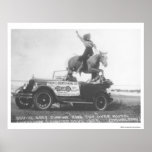 Gris mignon sautant son cheval affiche