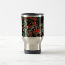 Grive d'ermite tasse à café