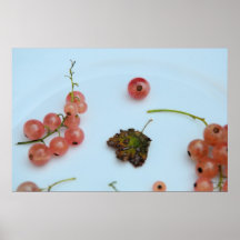 Groseilles de Champagne Affiche
