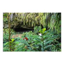 Grotte de fougère, Kauai Impression Photo