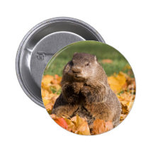 Groundhog Badges