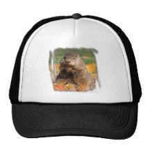 Groundhog Casquettes