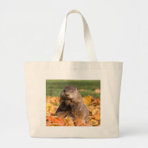 Groundhog Sacs En Toile