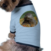 Groundhog Vêtement Pour Animal Domestique